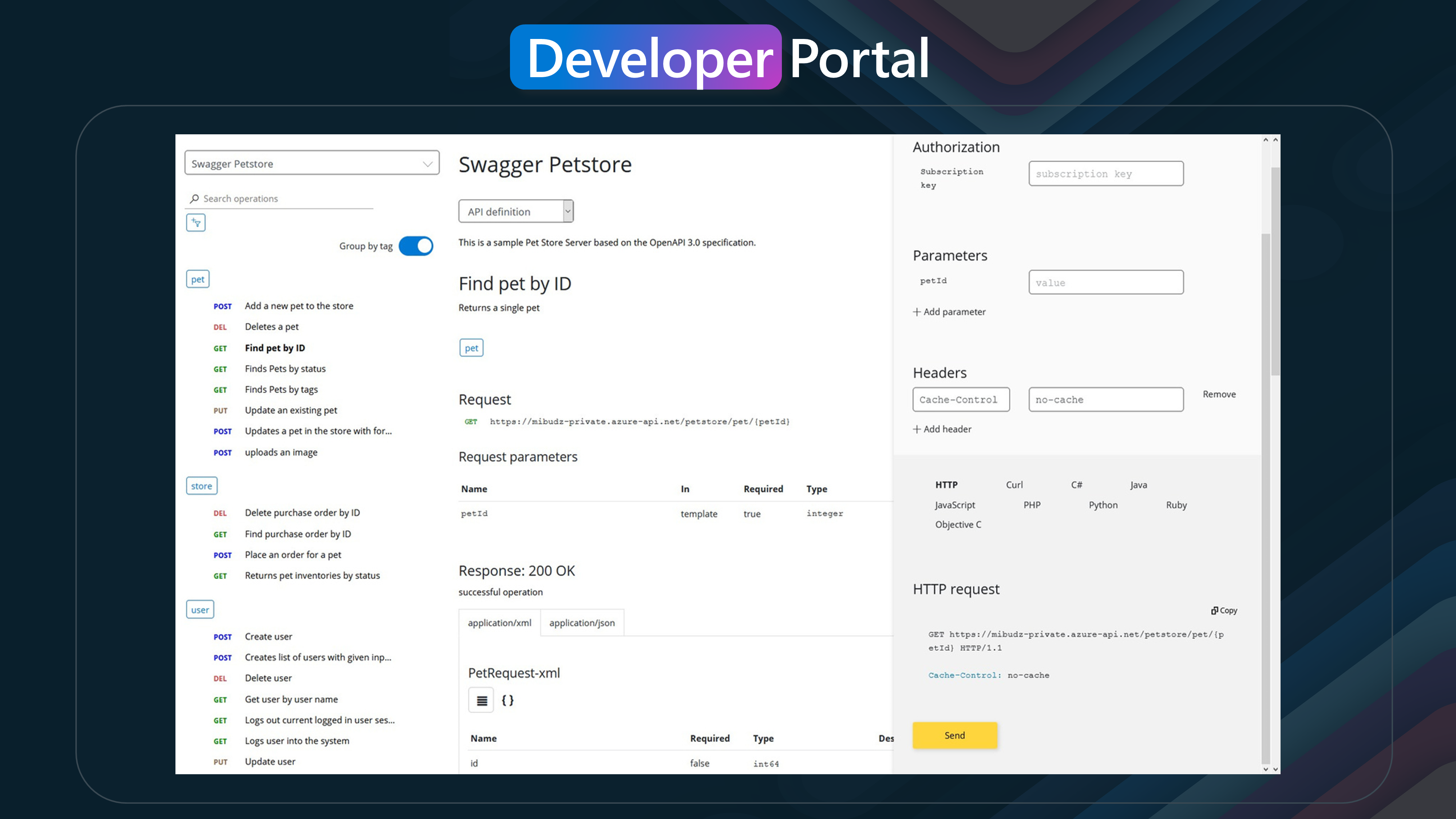 APIM - Developer Portal